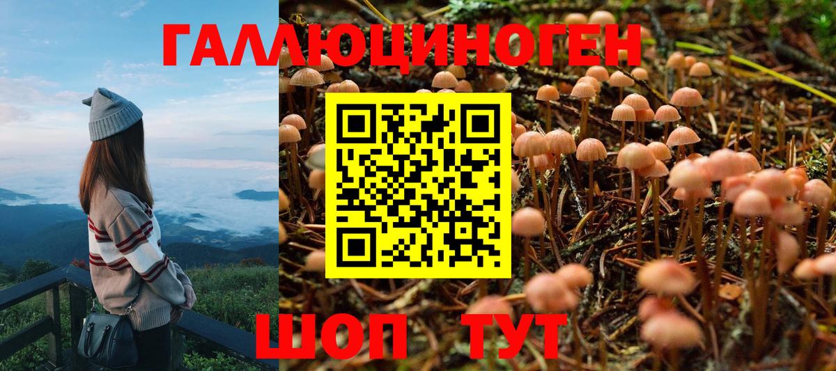 Верхняя Салда  Псилоцибиновые грибы Cubensis  Вход с VPN 